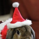 ���� ���� � 289), ����� - ��������� 31 ������� 2022 � ������ ���� ����������