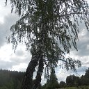  ***L***,   -  2  2022    Ż