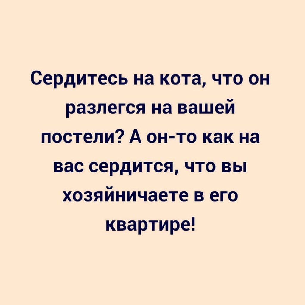 ПРИКОСНОВЕНИЕ ДУШИ - 15 января 2023 в 08:36