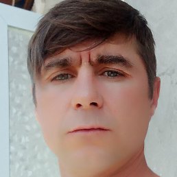 �����, ������, 41 ���