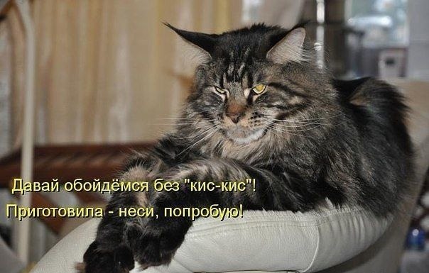    - 10  2022  09:33