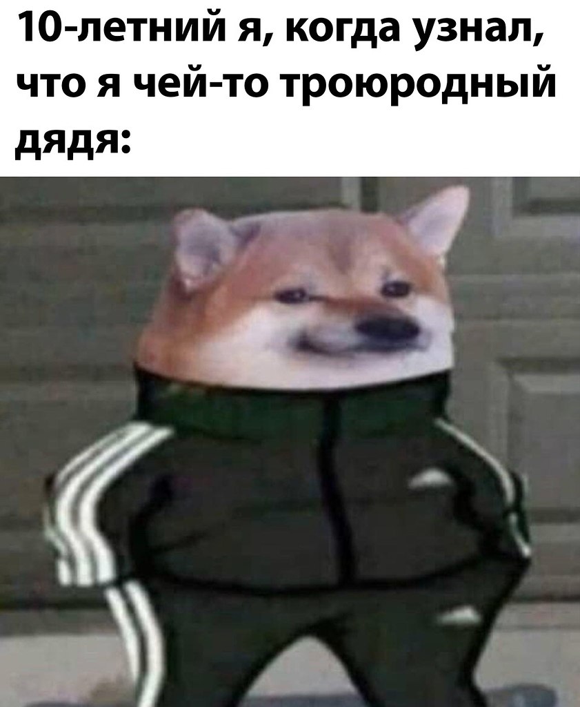 ☆ ☆ - 7  2022  12:29