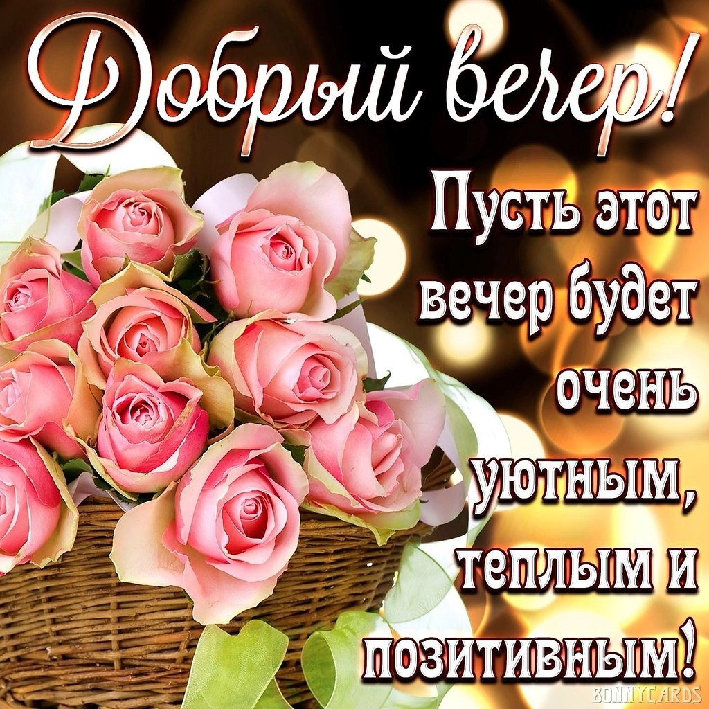   ,    . - 28  2023  19:11