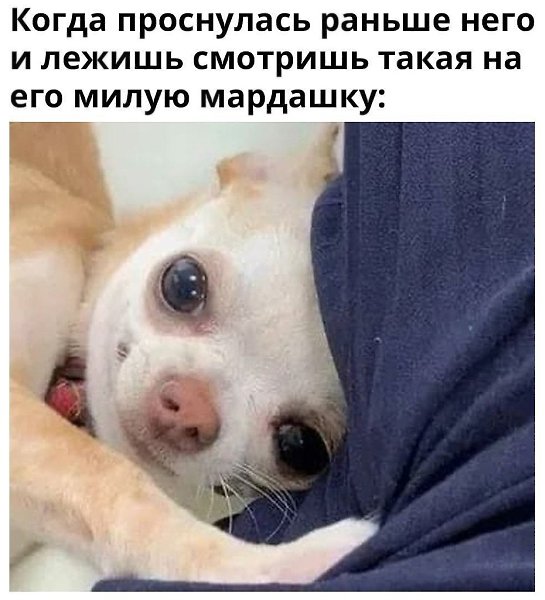    - 19  2023  14:28