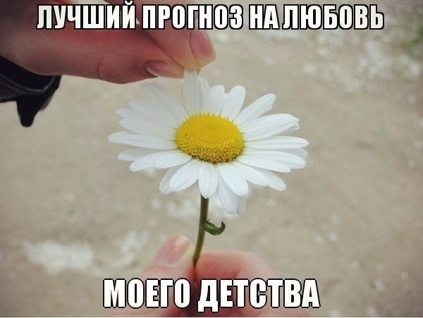 ☆☆☆  XX  ☆☆☆ - 3  2022  20:54