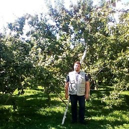 ���������, ���������, 37 ���