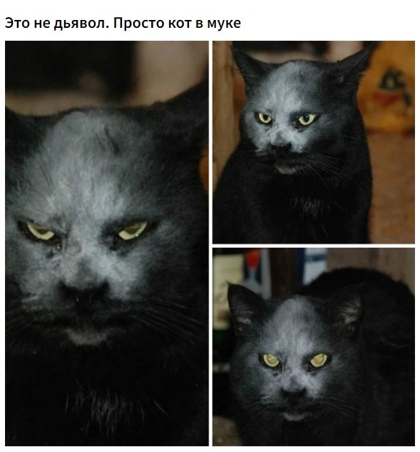    ,      .