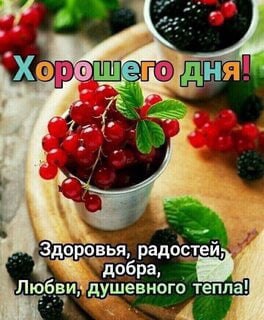   ,    . - 15  2022  13:03