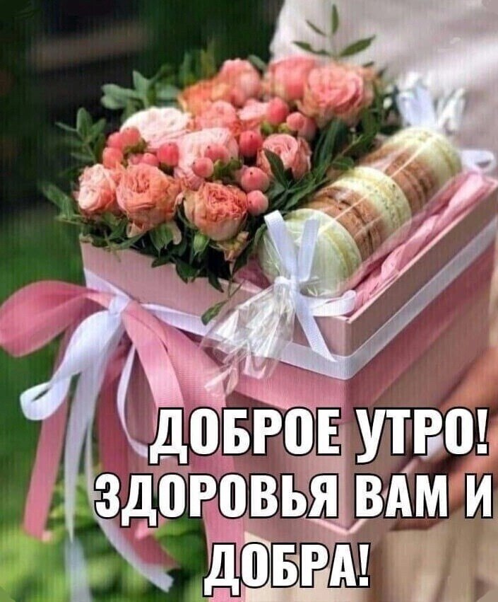 Утренний Привет от меня! Крепкого Здоровья , всем, всем, всем! Берегите себя!... За что ЛЮБЛЮ Я эту ...