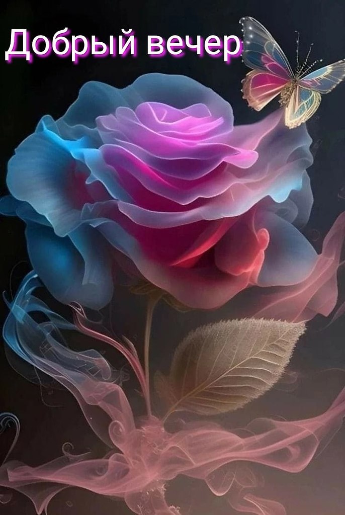   ,    . - 16  2023  18:17 - 2