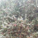 ���� �������, �������, 27 ��� - ��������� 25 ���� 2022 � ������ ���� ����������