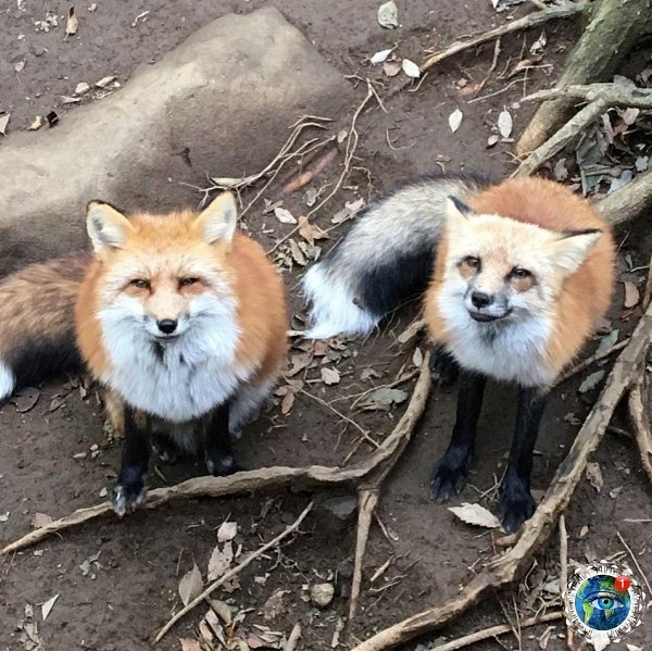 � �o�o�o� �y���� ����e�... ���� ������������ ��� - 9