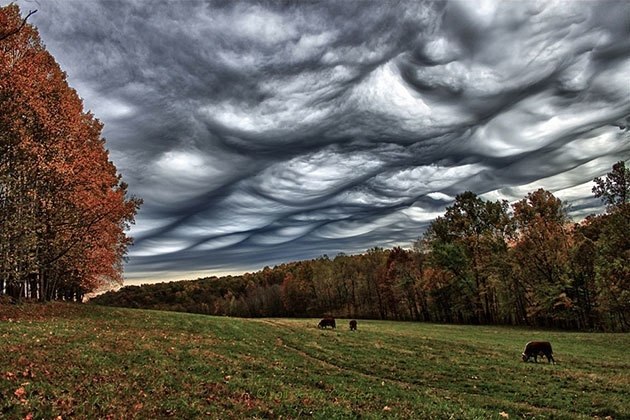 Asperitas - ,         .   ... - 5