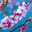  , , 39  -  1  2022    2022 (12.13 1/03/2022)