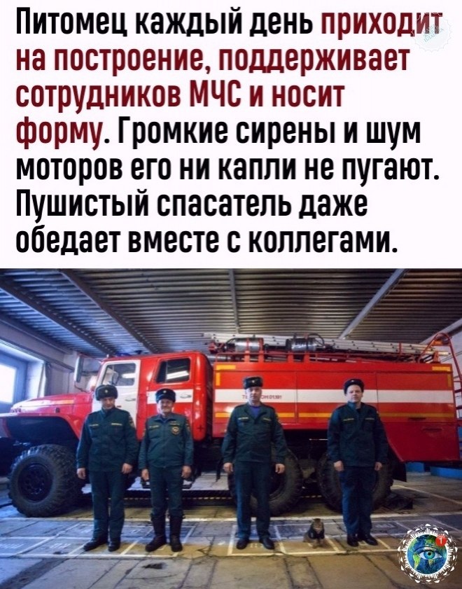 a  caca a https://fotostrana.ru/away?to=/sl/Vgh3atplant - 3