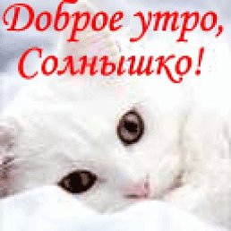 ���� �����, ���������, 52 ���� - ��������� 25 ������ 2023