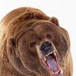 ���� ���, �����, 27 ��� - ��������� 9 ������ 2023