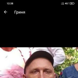 , 41, 