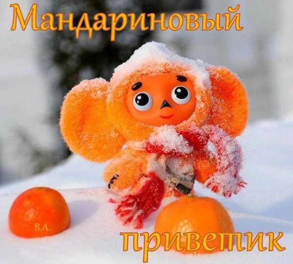 ***Victoria Viktorovna*** - 23  2023  04:24