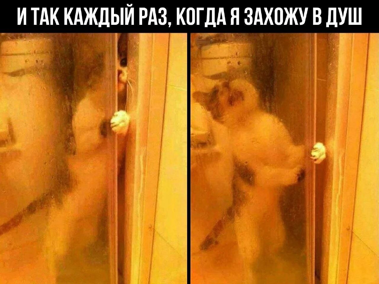    - 8  2023  04:18