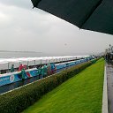 ���� ���������, �����, 52 ���� - ��������� 2 ������� 2023 � ������ ���� ����������