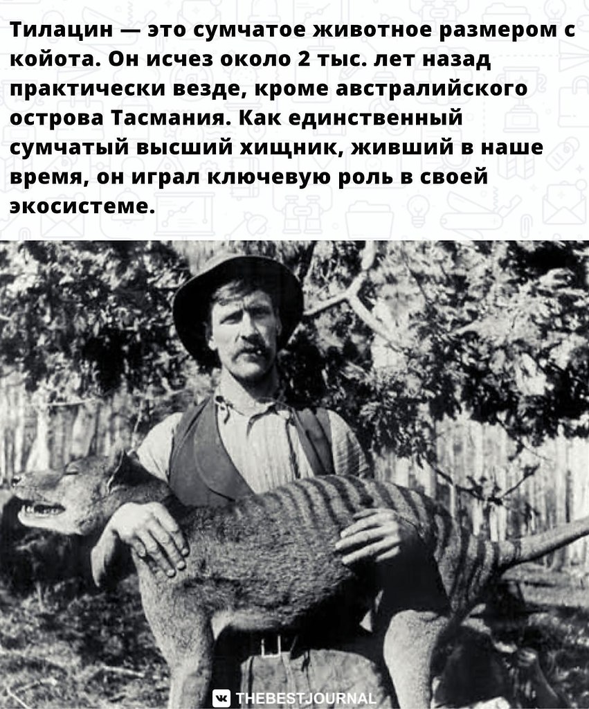     1936    - 3