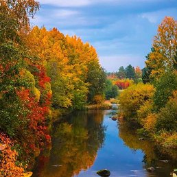 ���� ����, �������, 46 ��� - ��������� 17 �������� 2022