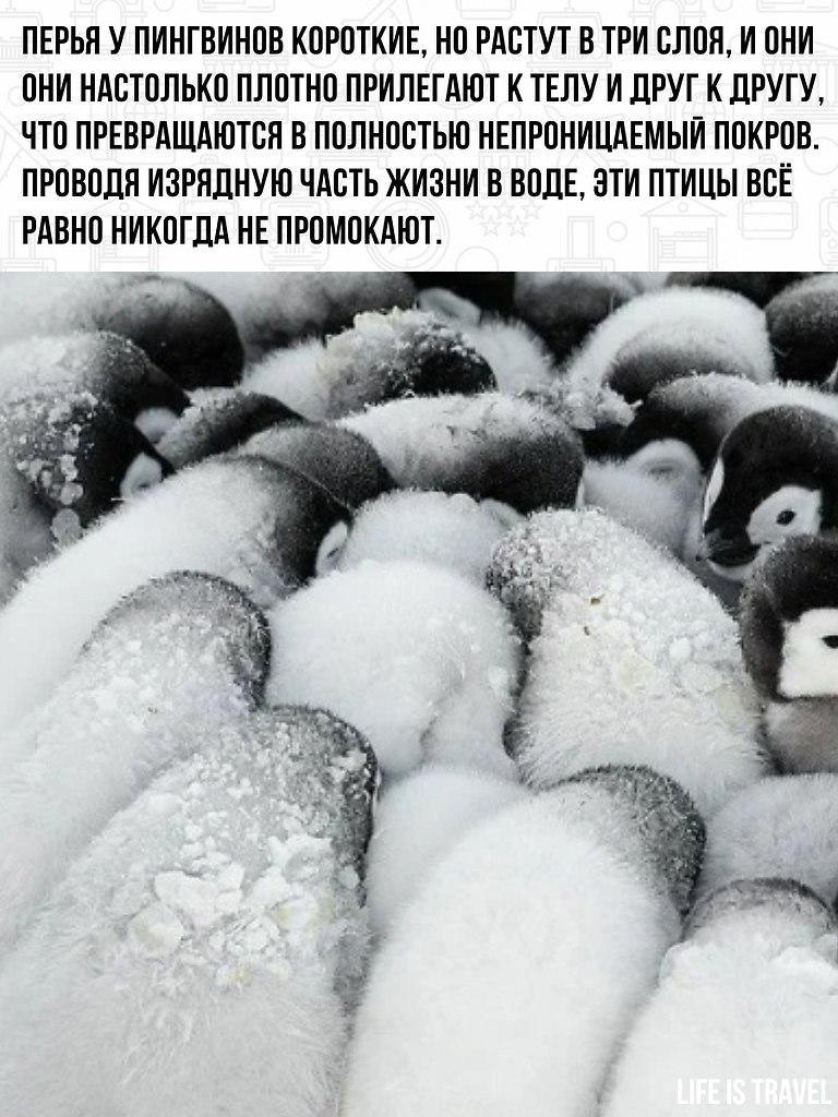      .    ,   - ... - 2