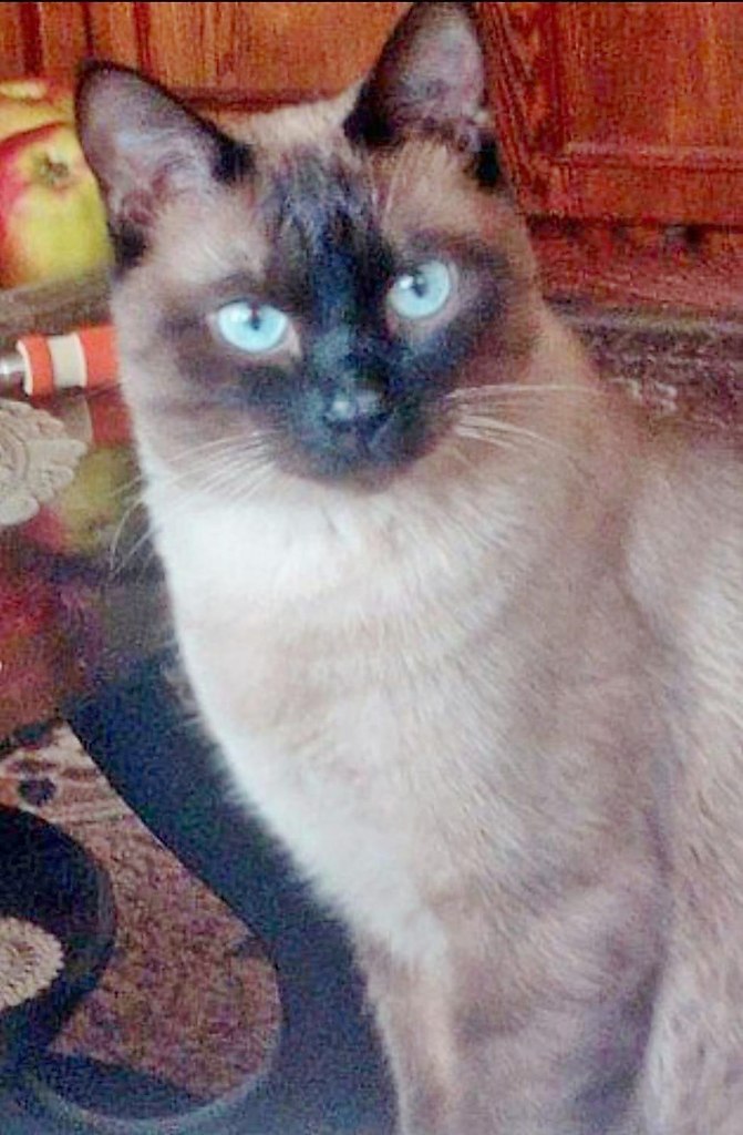   ....). 10%       .  90%   ...