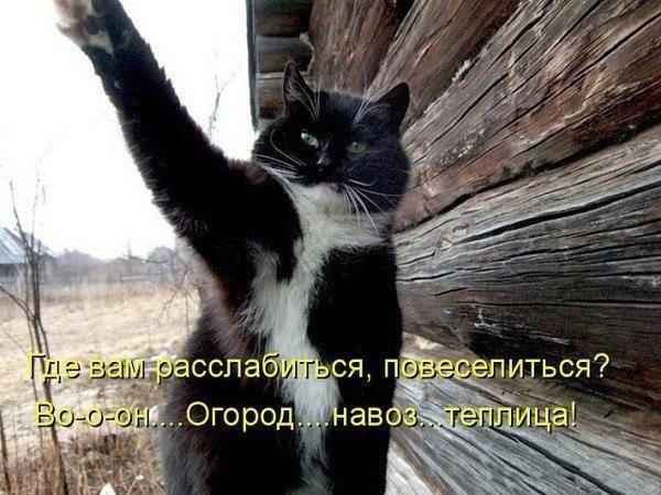    - 19  2022  16:24