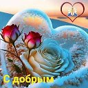 ���� �������, ������, 51 ��� - ��������� 17 ������� 2023 � ������ ���� ����������