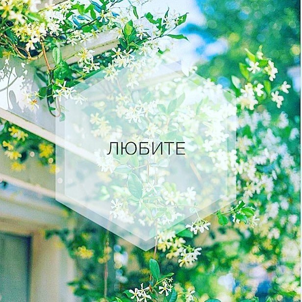   - 17  2022  09:09