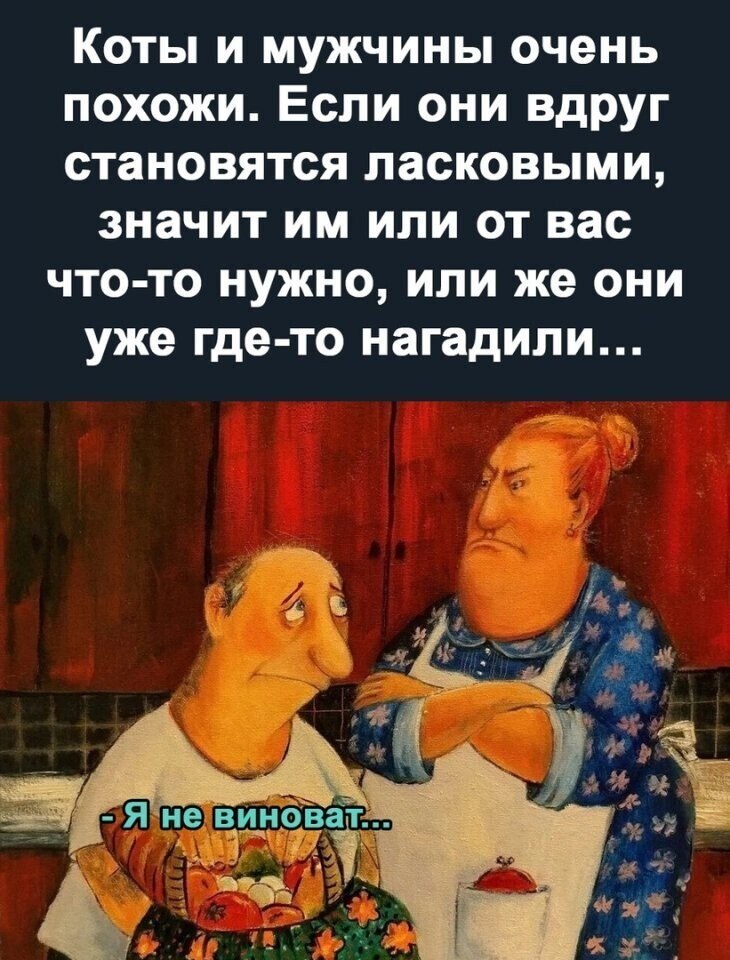   - 2  2022  15:55
