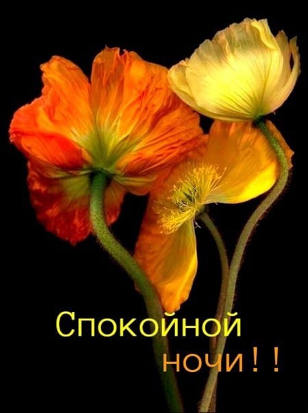   ,    . - 3  2022  22:02 - 7