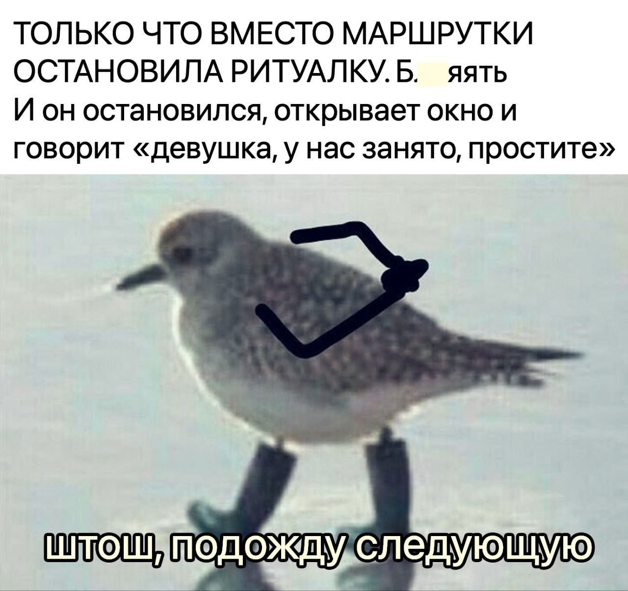 ***Victoria Viktorovna*** - 2  2022  15:22