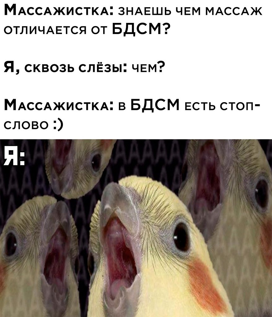 ☆ ☆ - 29  2023  03:22