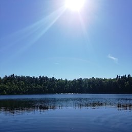 ���������, ������, 43 ����