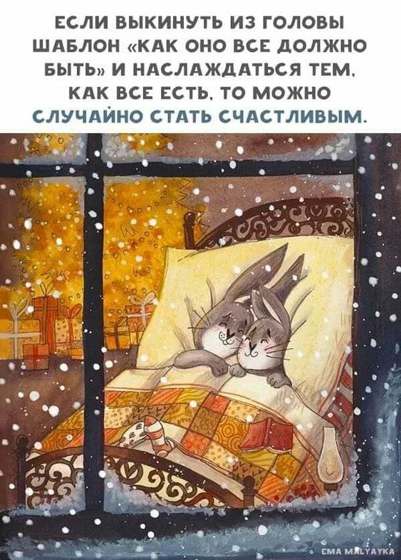   - 11  2022  23:15