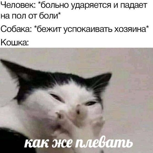    - 2  2022  01:24