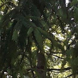 ����, ������, 66 ���