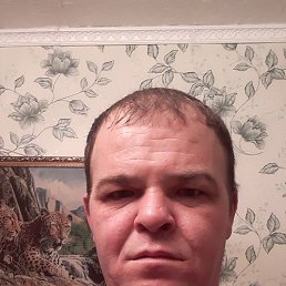 ���� ����, ������, 37 ��� - ��������� 16 ������� 2023