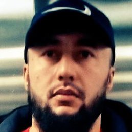 �����, �����-���������, 33 ����