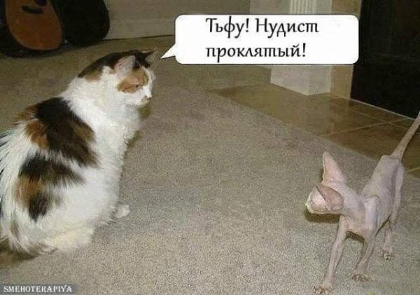 :)