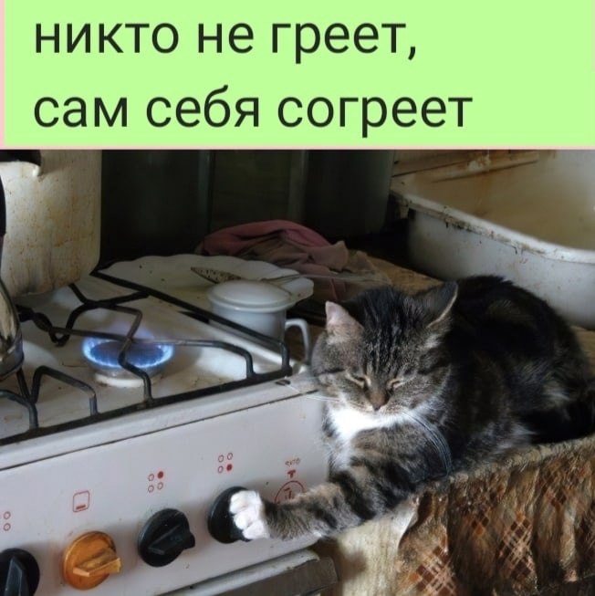   :D - 21  2022  07:40