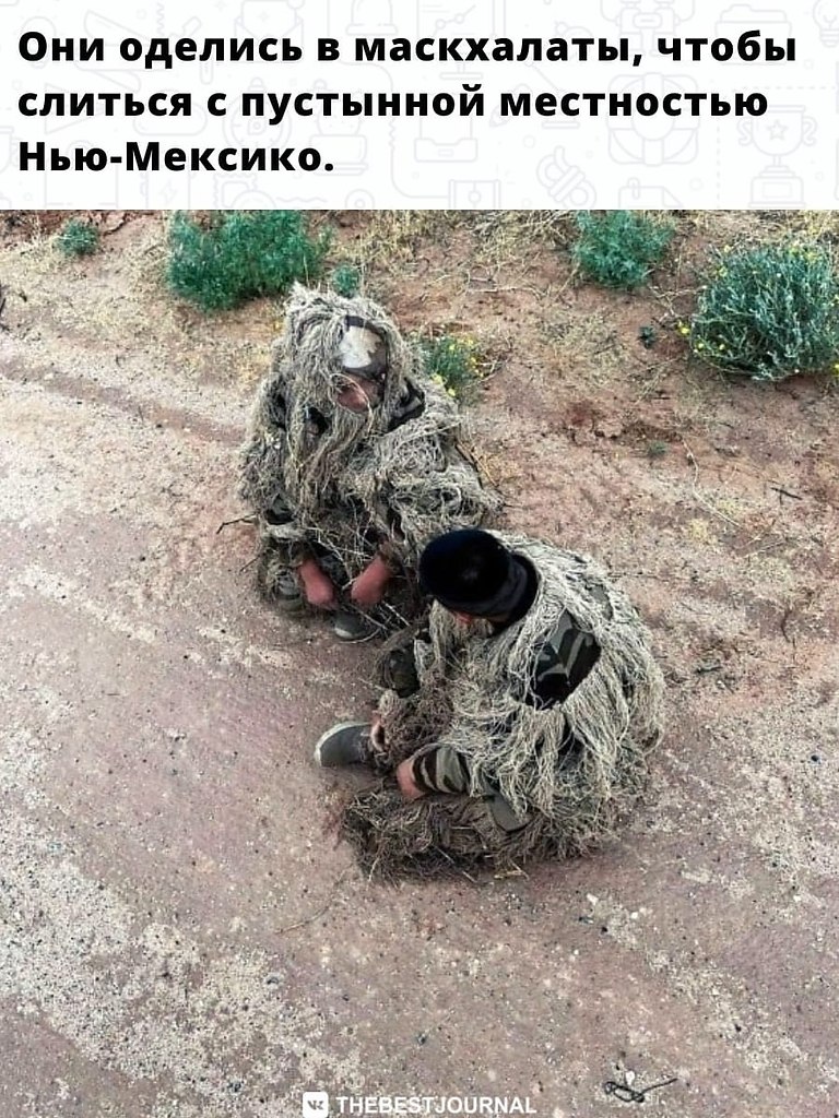 BEST | , ,  - 23  2022  02:08 - 2