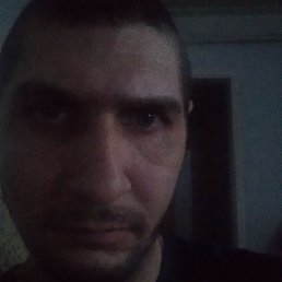 ����, ������, 40 ���