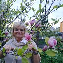 ���� ��������, ������, 63 ���� - ��������� 2 ���� 2022 � ������ ���� ����������