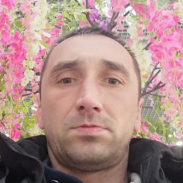 , , 43 