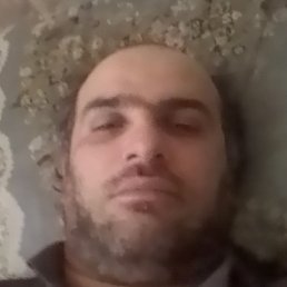 �����, �������, 41 ���