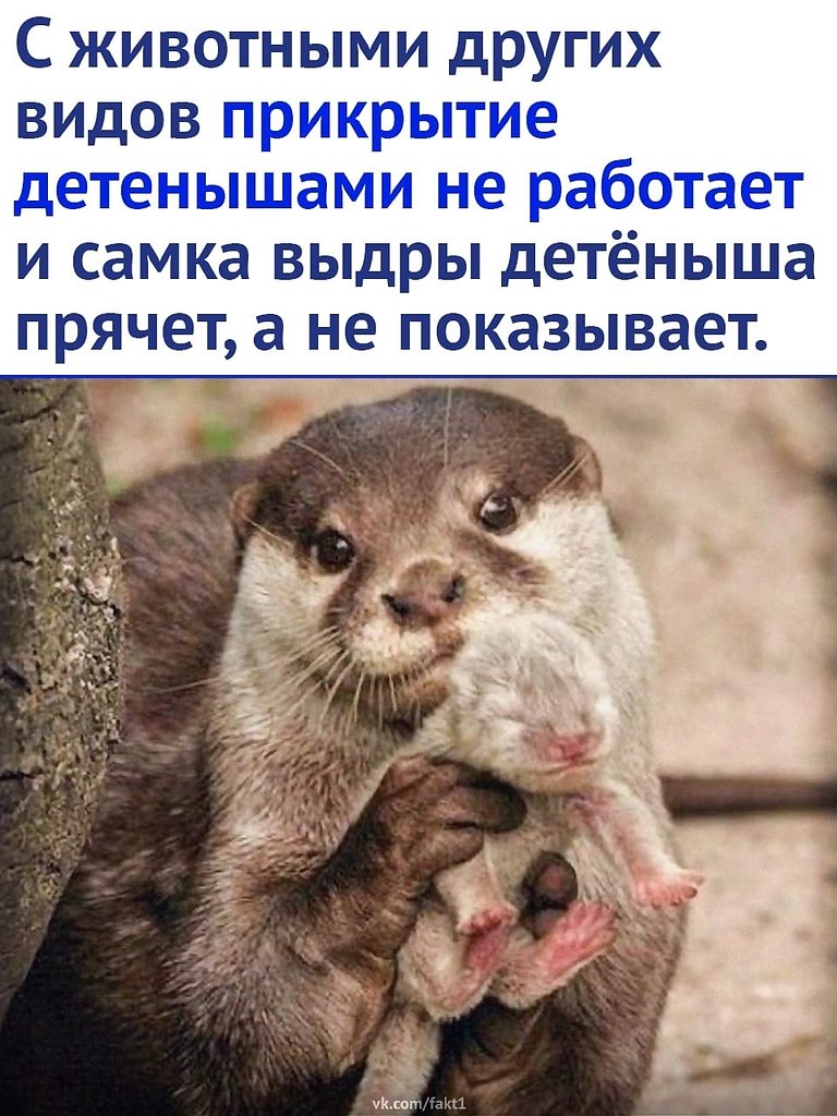     - 3